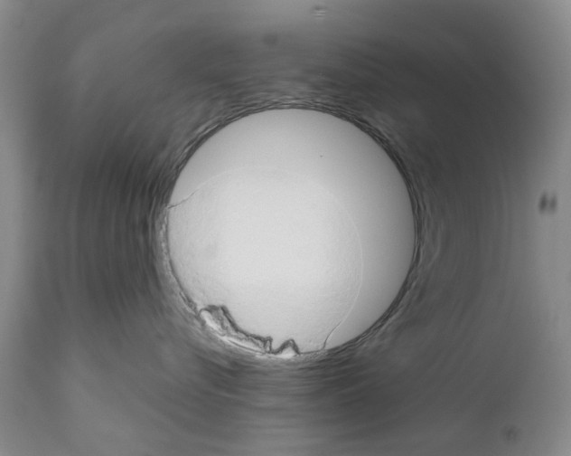 X0000111510576200908251116