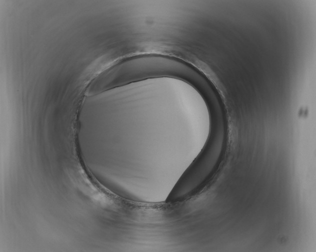 X0000111510577200908251115