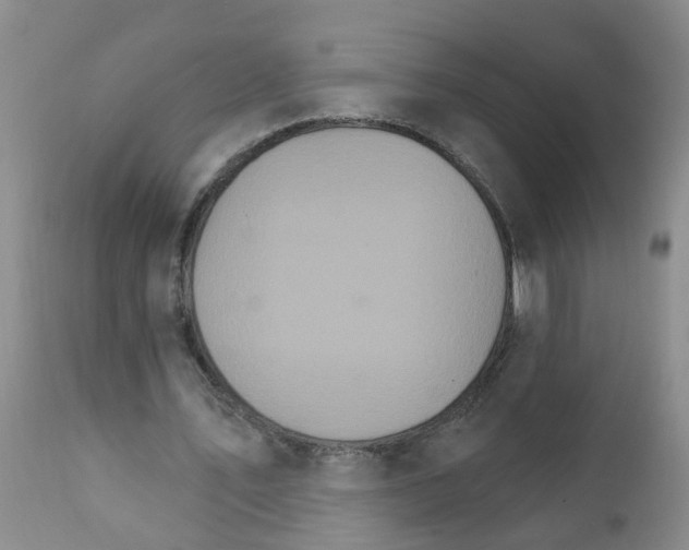 X0000111510579200908251115