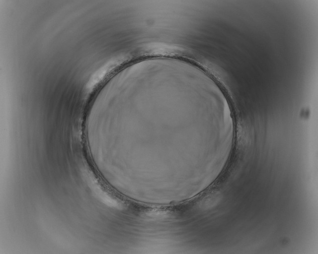 X0000111510581200908251115