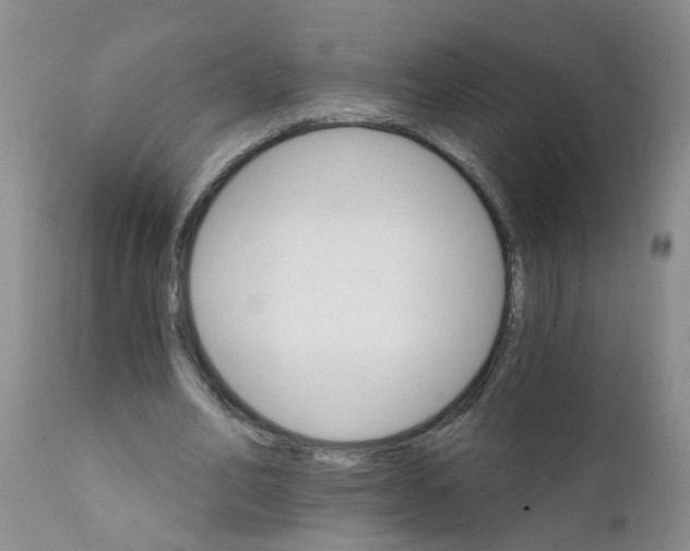 X0000111510582200908251115