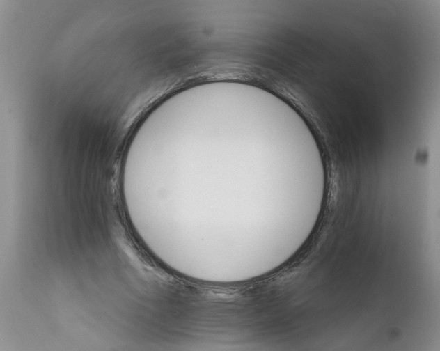 X0000111510586200908251115