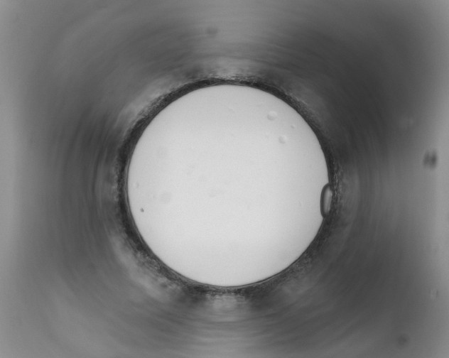 X0000111510587200908251115