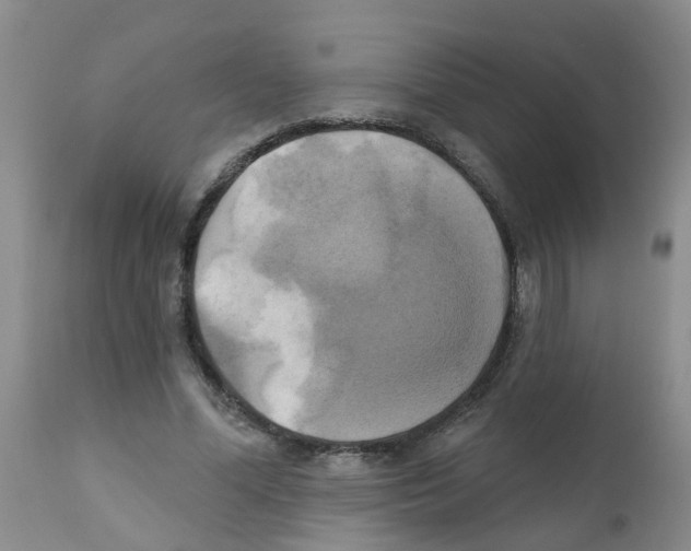 X0000111510588200908251115