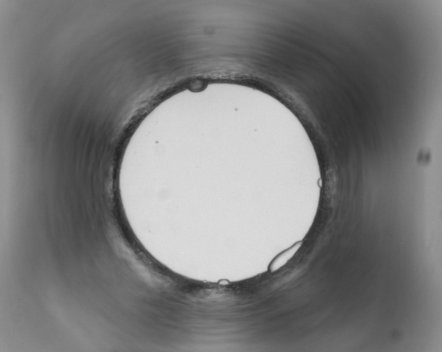 X0000111510589200908251115