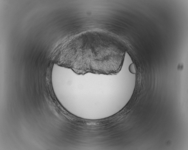X0000111510591200908251115