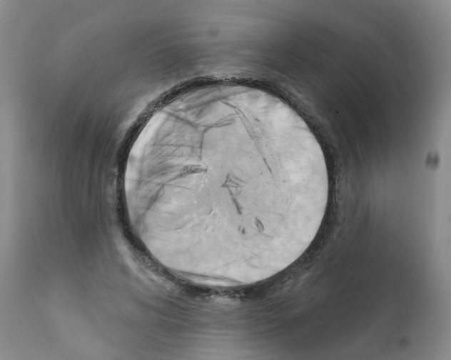 X0000111510592200908251115