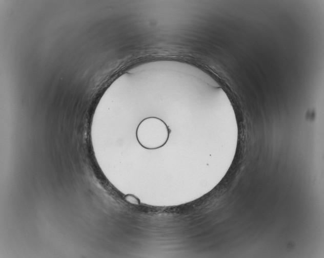 X0000111510593200908251115