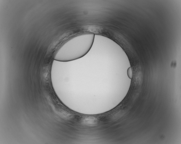X0000111510595200908251115