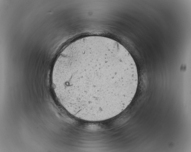 X0000111510596200908251115