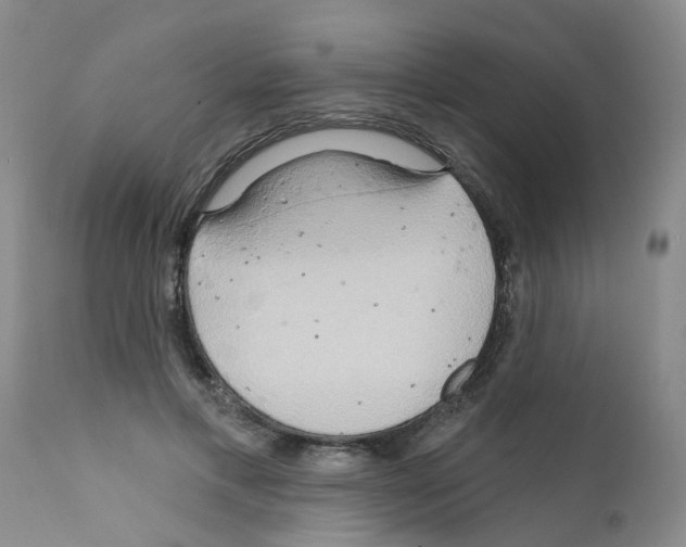 X0000111510597200908251115
