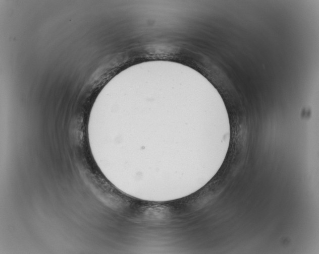 X0000111510599200908251115