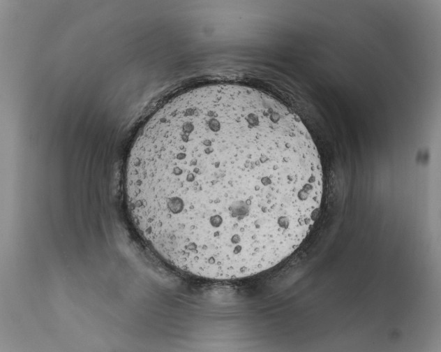 X0000111510600200908251115