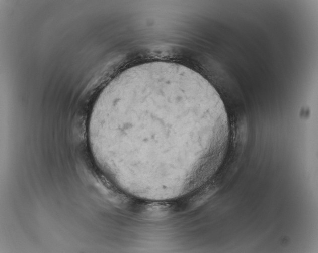 X0000111510606200908251115