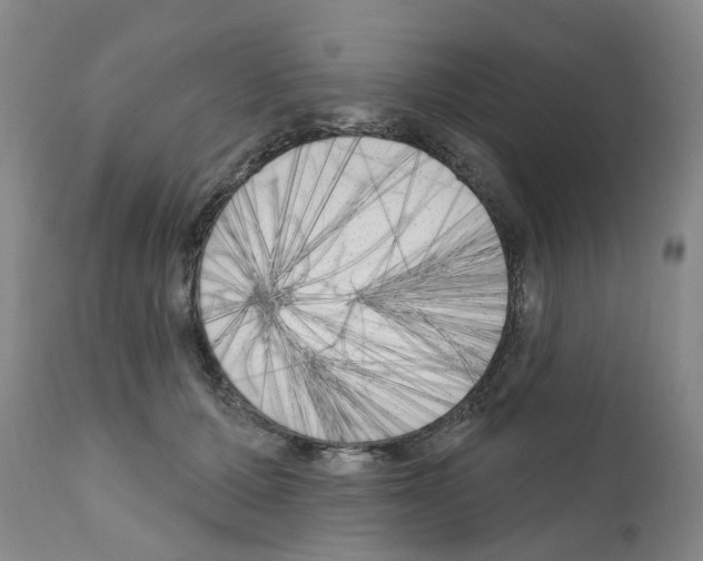 X0000111510607200908251115
