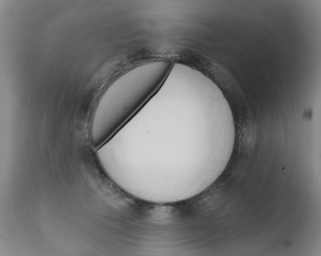 X0000111510609200908251115