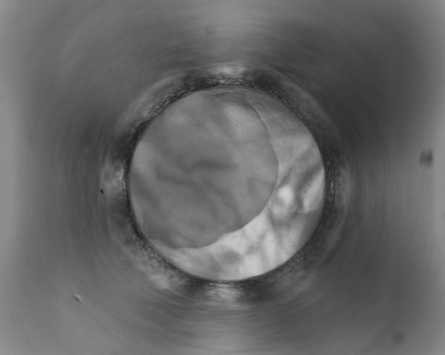 X0000111510610200908251115