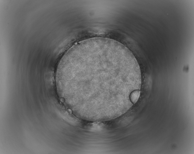 X0000111510612200908251115