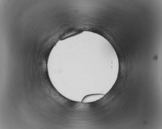 X0000111510617200908251114