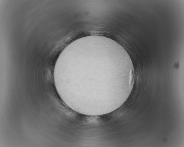 X0000111510618200908251114