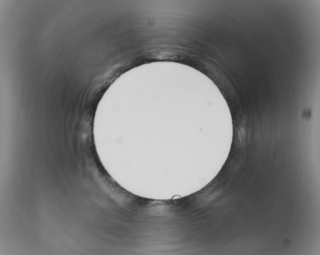 X0000111510620200908251114