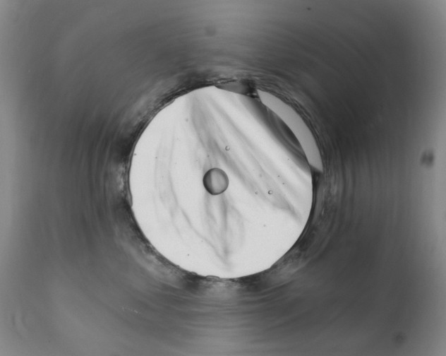 X0000111510621200908251114