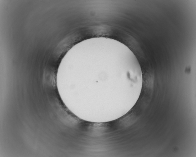 X0000111510622200908251114