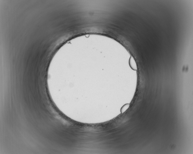 X0000111510625200908251113