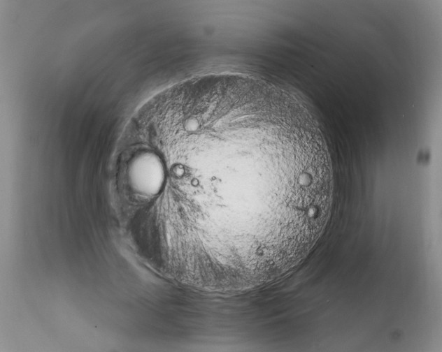 X0000111510627200908251113
