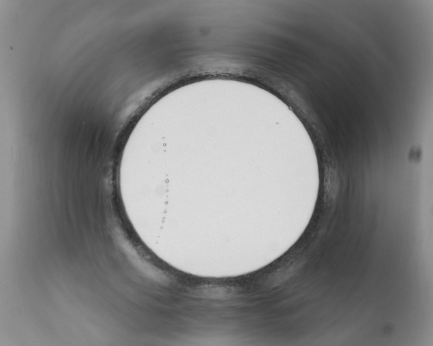 X0000111510629200908251113