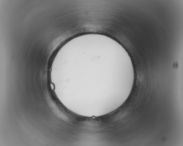 X0000111510630200908251113
