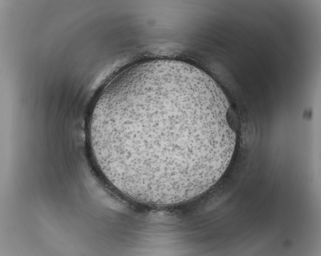 X0000111510634200908251114