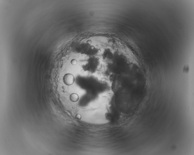 X0000111510635200908251114