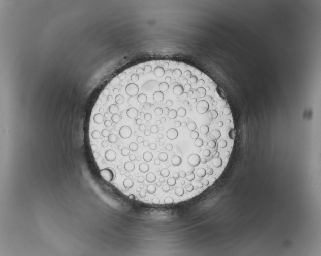 X0000111510638200908251114