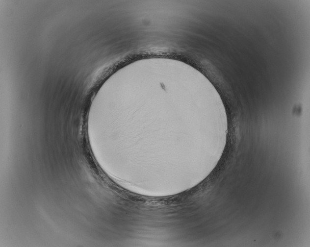 X0000111510640200908251114