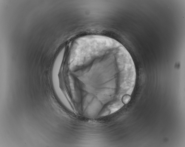 X0000111510641200908251114