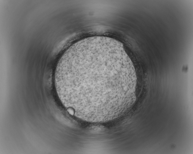 X0000111510642200908251114