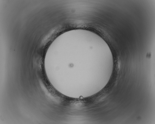 X0000111510643200908251114