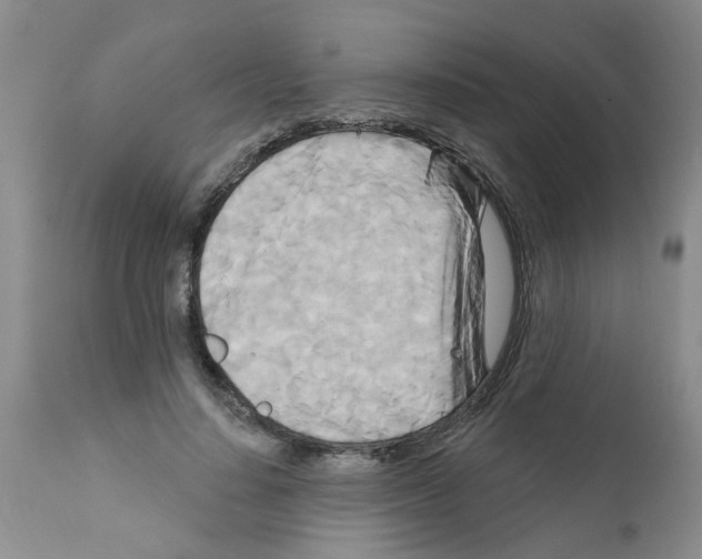 X0000111510644200908251114