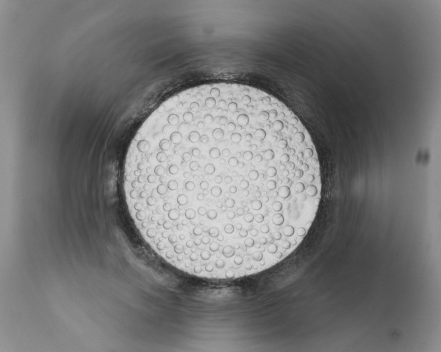 X0000111510646200908251114