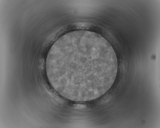 X0000111510649200908251114