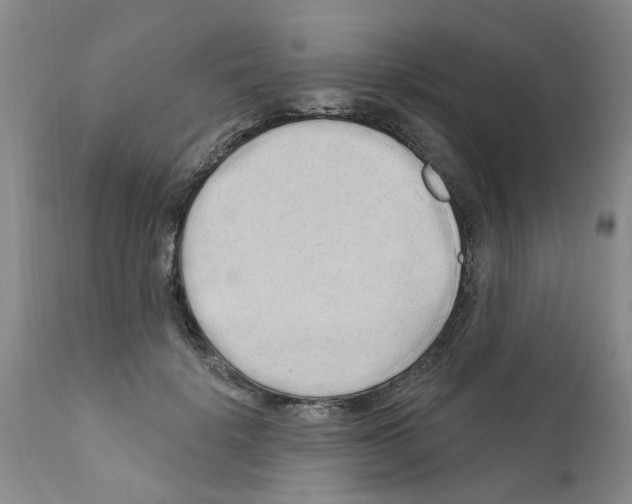 X0000111510652200908251114