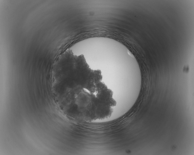 X0000111510654200908251114