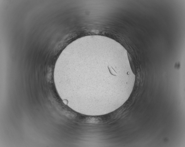 X0000111510656200908251114
