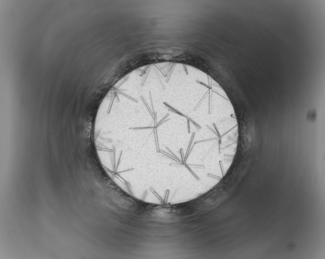 X0000111510657200908251114