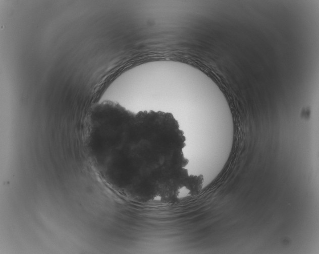 X0000111510658200908251114