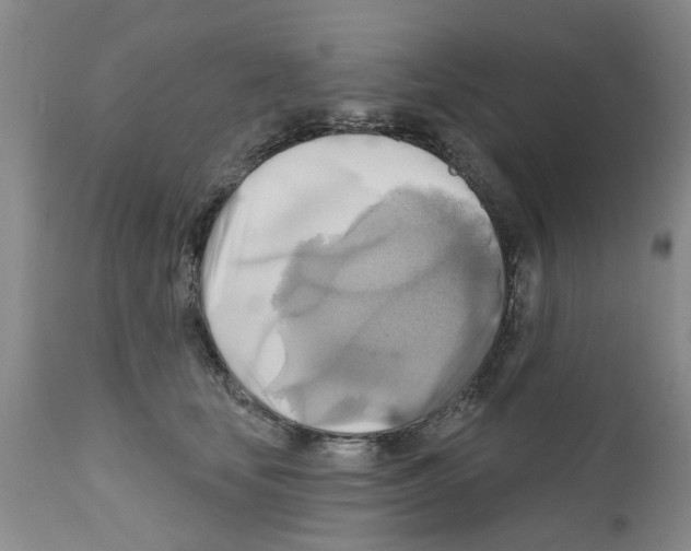 X0000111510659200908251114