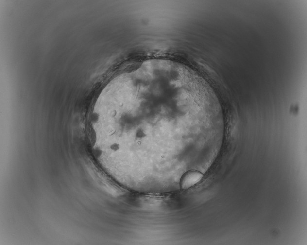 X0000111510661200908251114