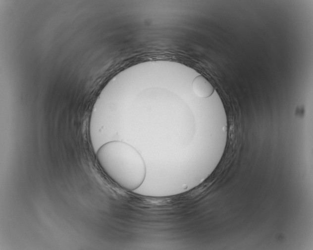X0000111510662200908251114
