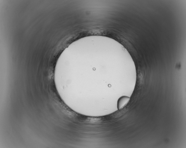 X0000111510665200908251114